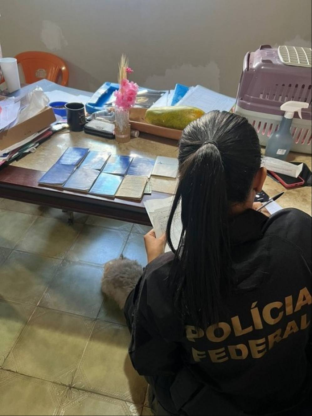 Polícia Federal deflagra operação DeLorean contra fraudes previdenciárias no DF