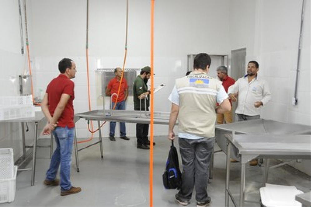 MPE fiscaliza frigorífico de aves e peixes da capital