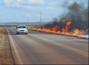 Queimadas e trânsito: Detran/TO explica o que fazer ao se deparar com fumaça na pista