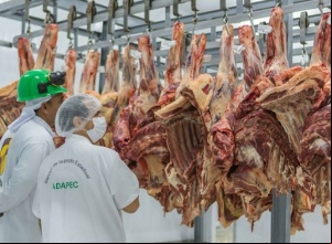 Governo do Tocantins concede selo de inspeção com equivalência nacional à frigorífico de Porto Nacional