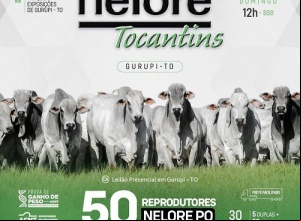 Genética de excelência será destaque no 1º Leilão Nelore Tocantins durante a 50ª Expo Gurupi