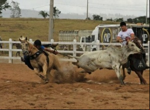 1ª vaquejada “Zeca Abreu” na "Vale do Boi" em Paraíso do Tocantins será um marco histórico de 12 a 14 de maio 