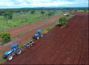 Prefeitura de Porto Nacional realiza o lançamento do plantio da agricultura familiar nesta quinta-feira, dia 24