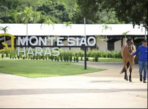Monte Sião: novo conceito de modernidade e genética de ponta no Brasil