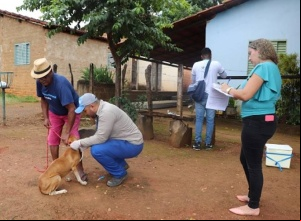 Secretaria de Saúde de Porto Nacional realiza dia D de Encoleiramento em cães no distrito de Luzimangues